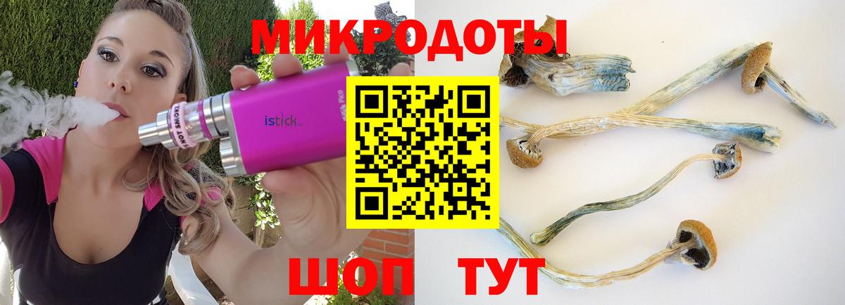 Псилоцибиновые грибы Psilocybine cubensis  Вход с VPN  Реж 
